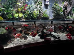 -太平洋海底世界