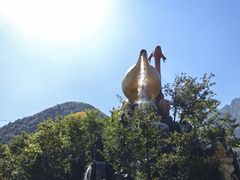 -秦岭天竺山景区
