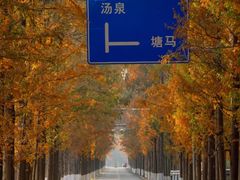 -南京老山国家森林公园