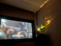 -新紫霞养生·影院足道·SPA(金山区店)