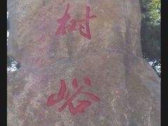 -鲁山国家森林公园