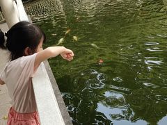 -东莞宾馆(莞城店)