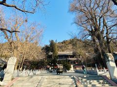 -潭柘寺景区