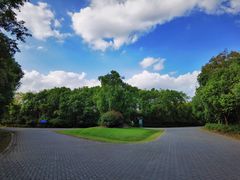 -上海海湾国家森林公园