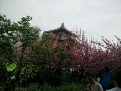 -西安青龙寺遗址景区