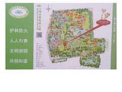 -上海共青森林公园