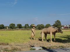 -嘉北郊野公园