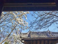 -惠山古镇·寄畅园