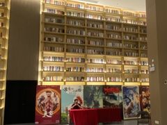 -深影国际影城(学院南路店CGS中国巨幕店)