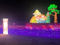-金沙湖旅游度假区