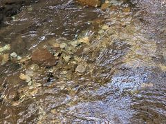 -宁波五龙潭景区