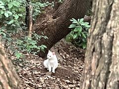 -惠山国家森林公园