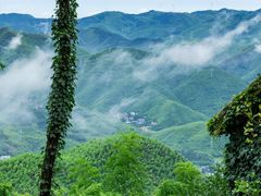 -莫干山风景区