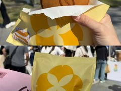 -VT101维多利广场