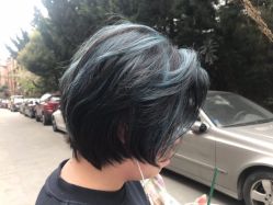 -SALON V