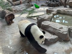 -宁波野生动物园