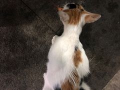 -星奇缘·海鲜餐厅(东山美食地标店)