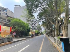 -泡桐树街