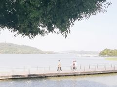 -水上明月·湖景餐厅