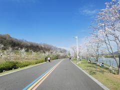 -羊山湖公园