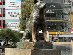 -涩谷全向十字路口