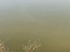 -西青郊野公园