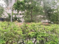 -鸿泰洋美食水会(东门中店)