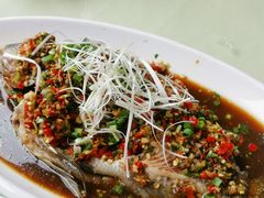 -大笮风(体育馆总店)