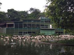 -新加坡飞禽公园
