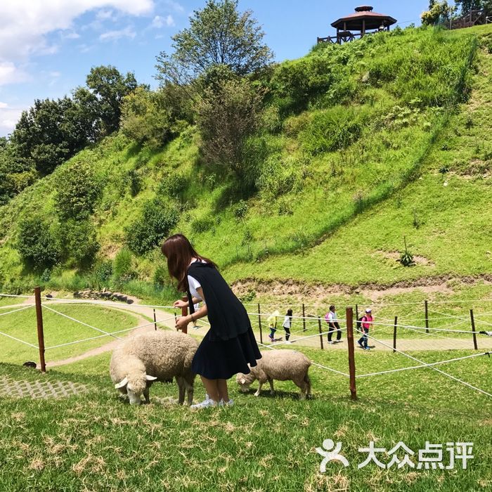 清境农场之青青草原