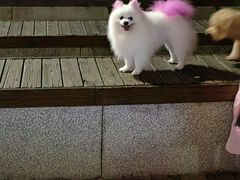 -南山文体中心-游泳馆