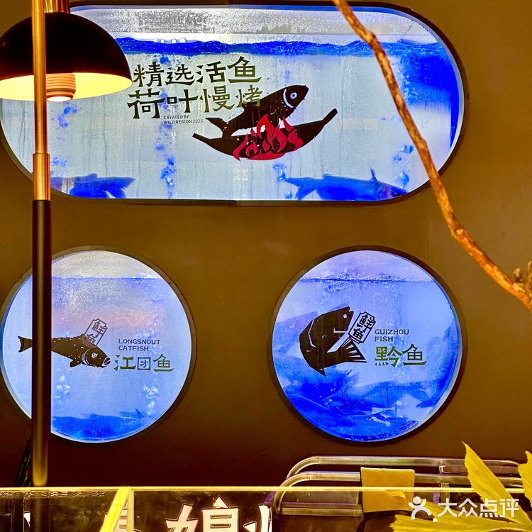 成都终于也有了！！可不是普通烤鱼！！！