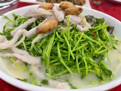 -胜记烧鹅美食