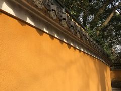 -普陀山风景名胜区-法雨禅寺