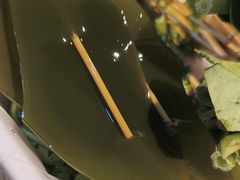 -龍歌自助小火锅(芝罘万达店)