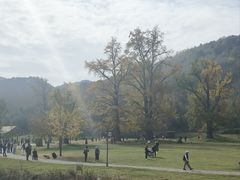 -千年银杏谷文化旅游区