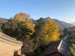-潭柘寺景区