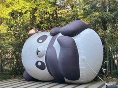 -杭州植物园