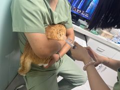 -达爱动物医院·犬猫分区·CT·复杂眼科(远洋山水分院)