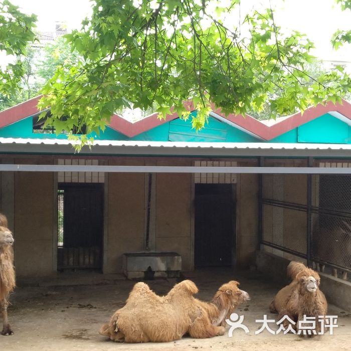 徐州動物園