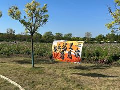 -嘉北郊野公园