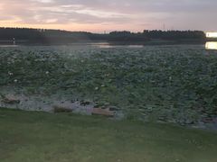 -丁香湖公园
