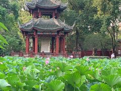 -房湖公园