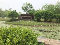 -东郊湿地公园