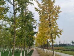 -汉长安城未央宫国家考古遗址公园