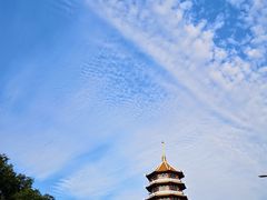 -厦门园林博览苑