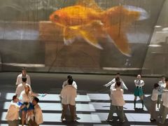 -重庆国际马戏城