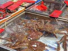 -湛江渔港·大排档(乐园路总店)