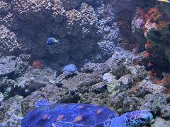 -海合安青岛极地海洋公园