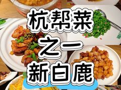 -新白鹿餐厅(滨江银泰店)